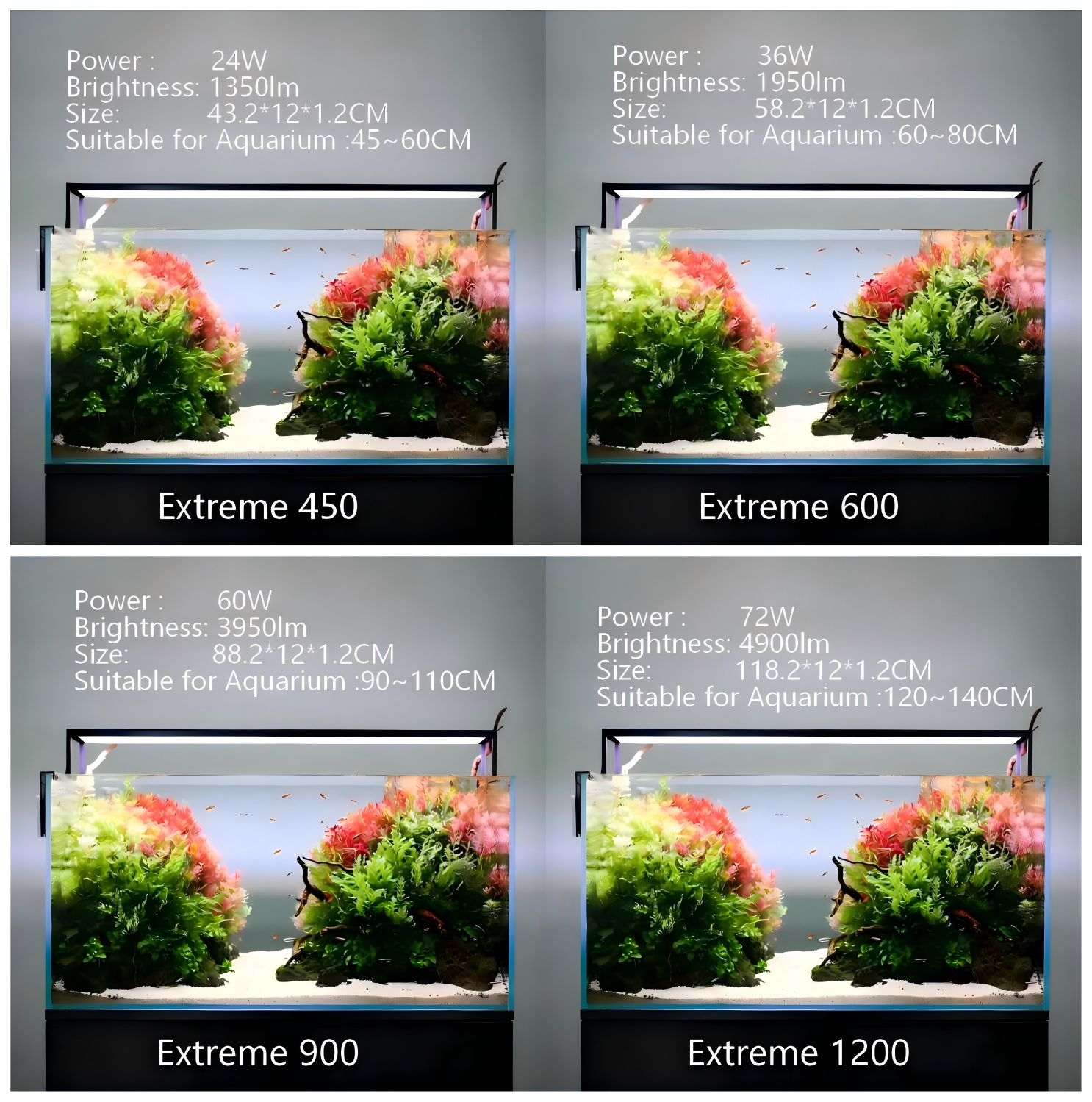 MICMOL Extreme 450 600 900 120 – Plant Parent App Bewertung und Preis