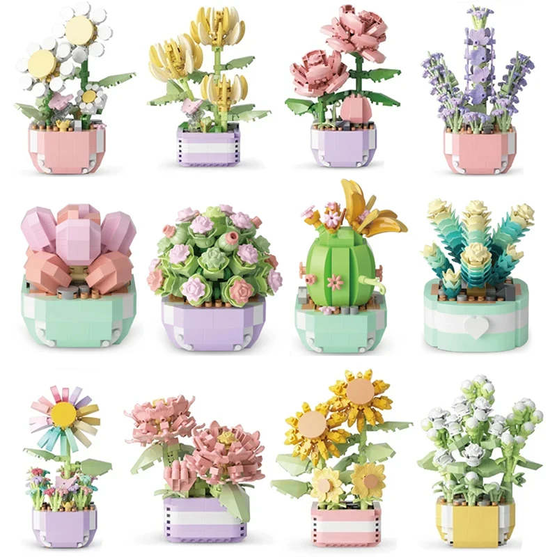 Flower Succulents Building Blo – Plant Parent Kit Bewertung und Preis