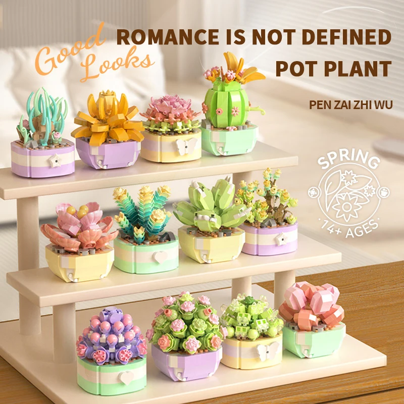 Flower Succulents Building Blo – Plant Parent Kit Bewertung und Preis