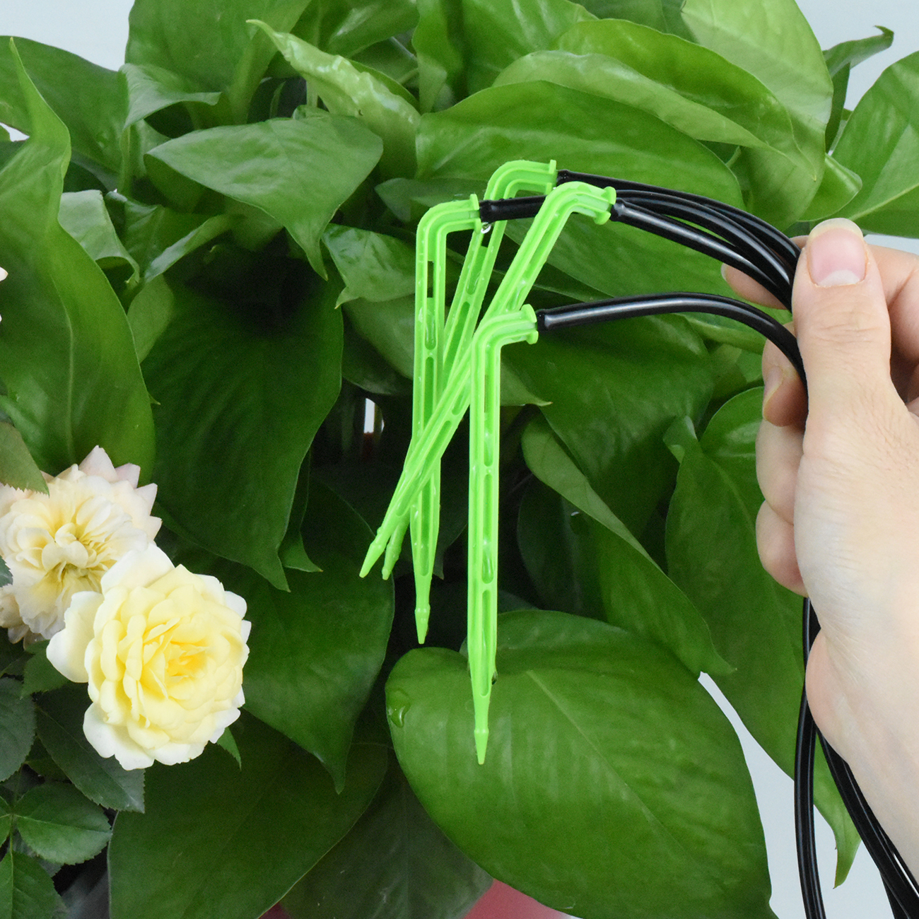 KESLA Garden 4/7mm to 3/5mm Ho – Plant Parent Kit Bewertung und Preis
