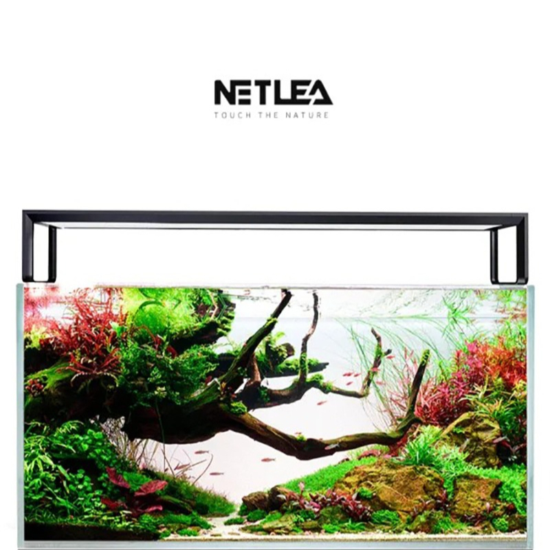 Netlea AT5S V3 Smart Wifi APP  – Plant Parent App Bewertung und Preis
