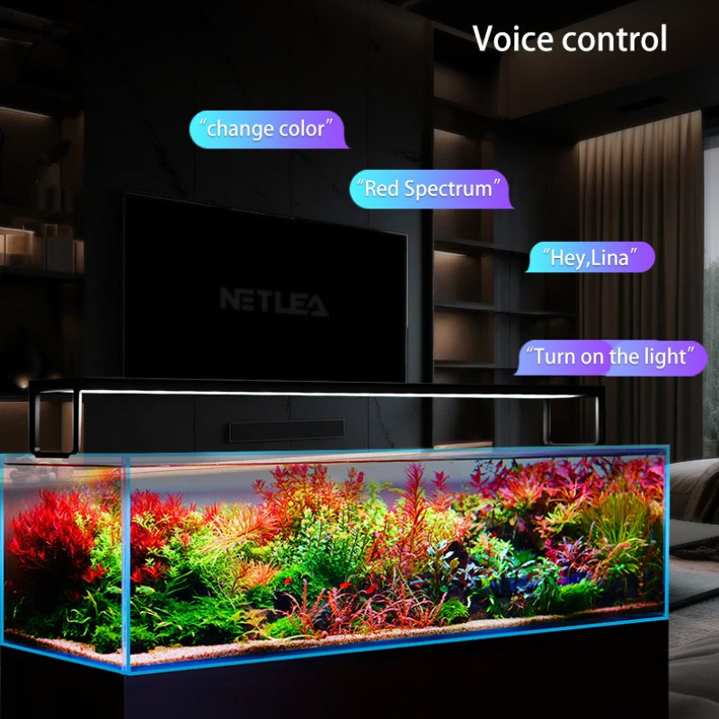 Netlea AT5S V3 Smart Wifi APP  – Plant Parent App Bewertung und Preis
