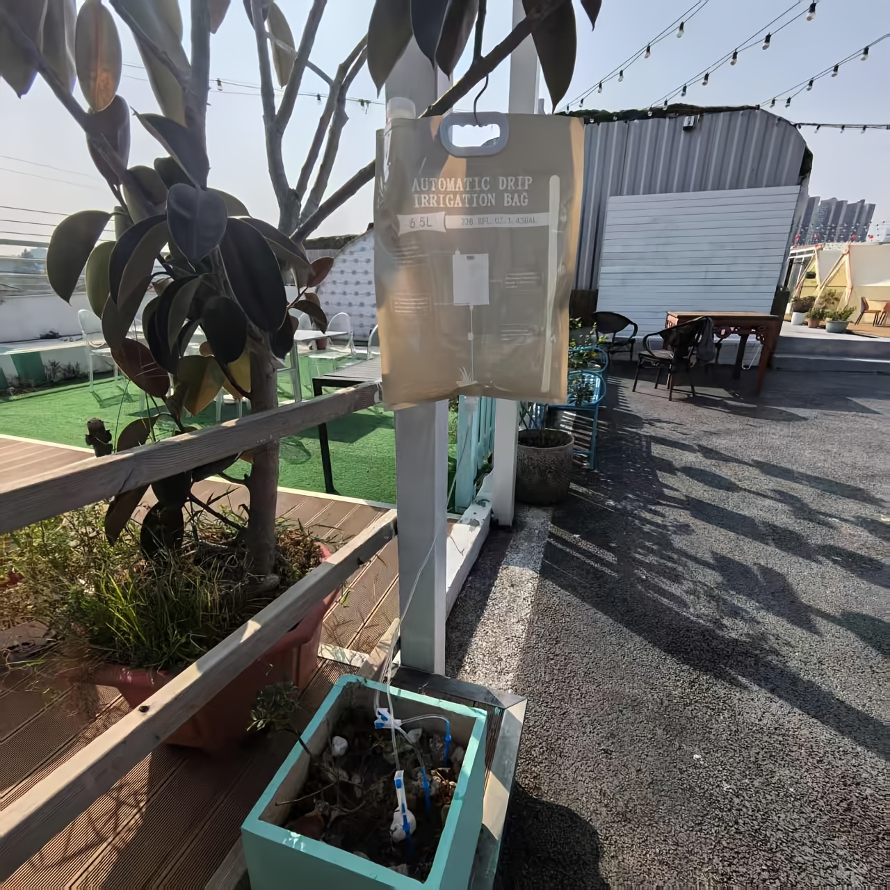 Automatic Watering Dripper,Adj – Plant Parent Kit Bewertung und Preis
