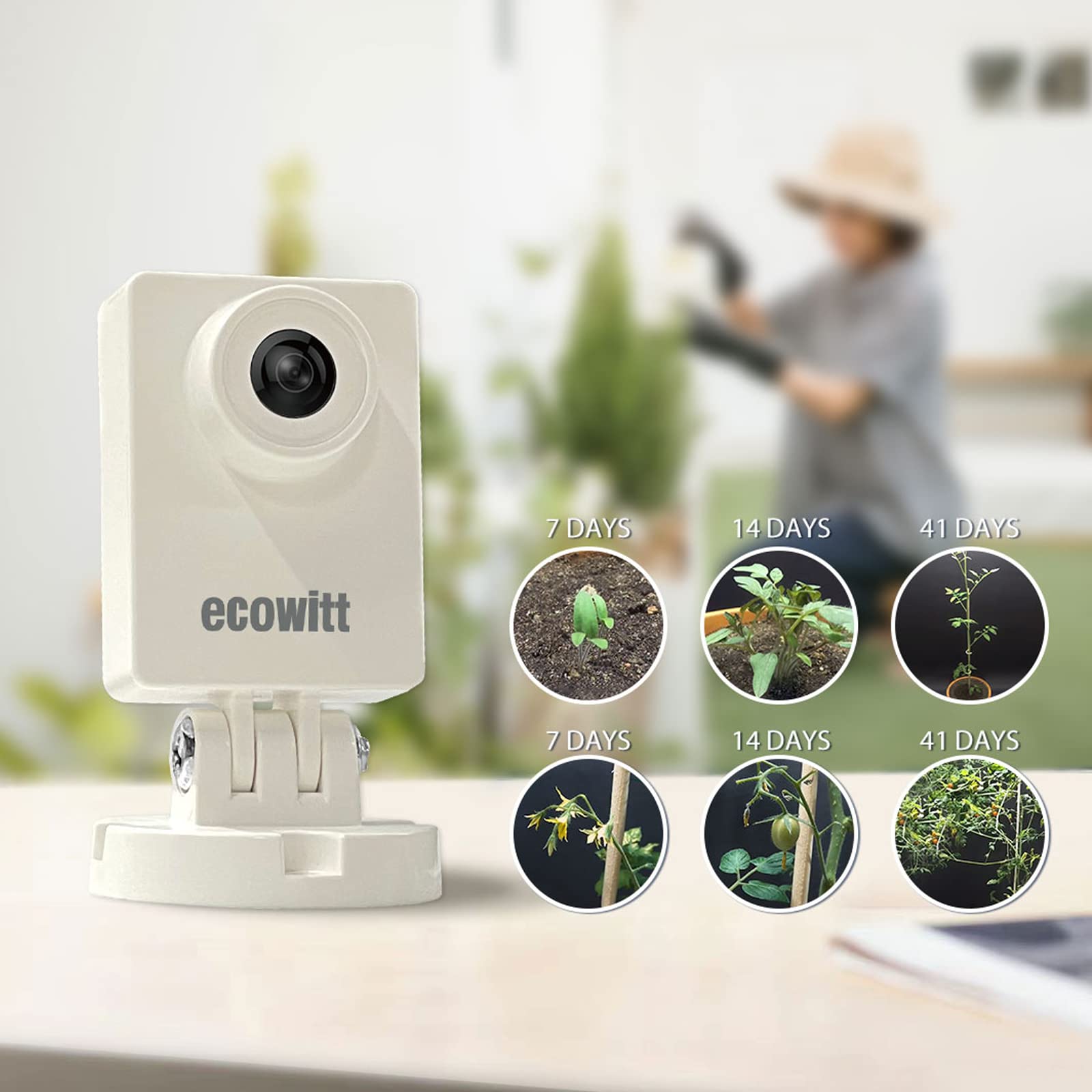 Ecowitt HP10 WittCam Outdoor W – Plant Parent App Bewertung und Preis