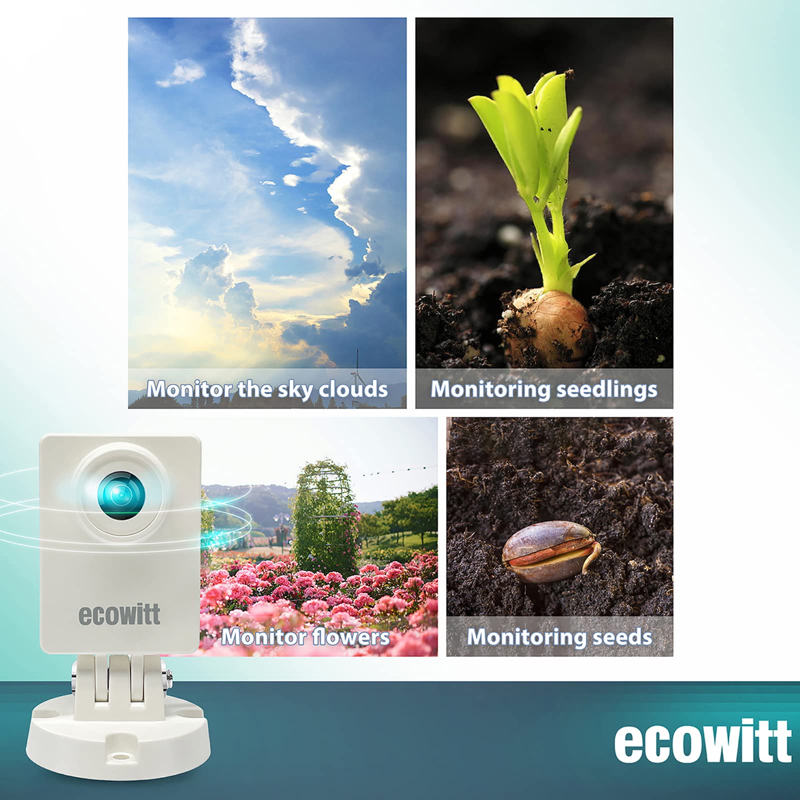 Ecowitt HP10 WittCam Outdoor W – Plant Parent App Bewertung und Preis