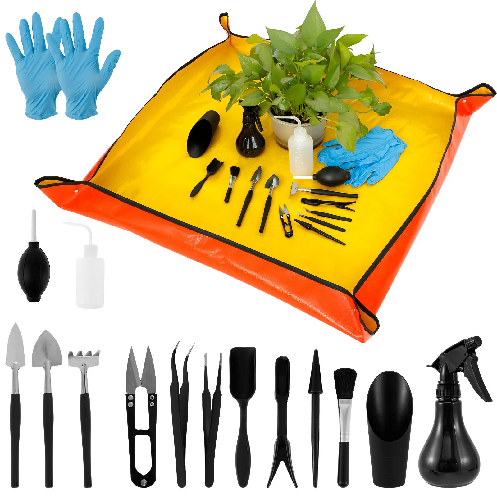13/16Pcs Garden Succulent Plan – Plant Parent Kit Bewertung und Preis