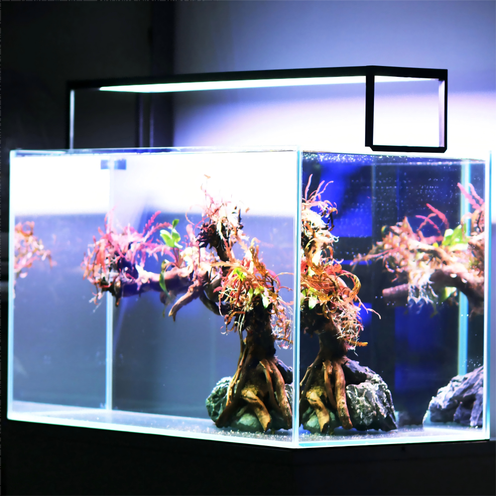 LED Aquarium light MICMOL Extr – Plant Parent App Bewertung und Preis