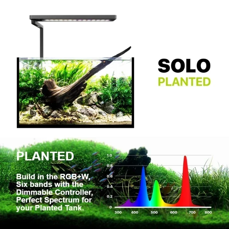Micmol SOLO APP Controlled Blu – Plant Parent App Bewertung und Preis