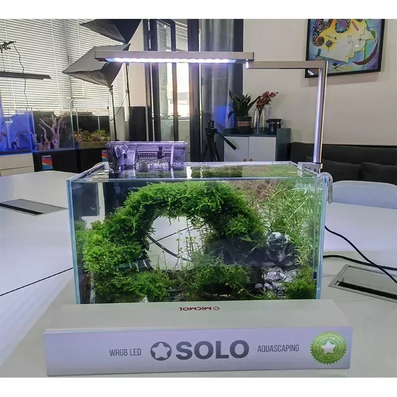 Micmol SOLO APP Controlled Blu – Plant Parent App Bewertung und Preis