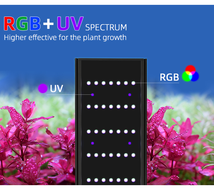 WEEK AQUA L Series APP Control – Plant Parent App Bewertung und Preis