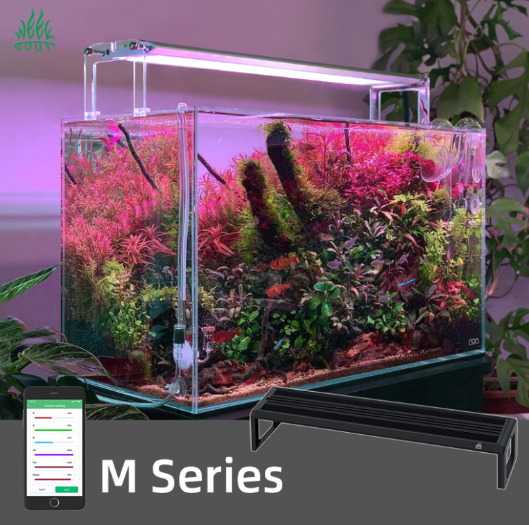 WEEK AQUA M Series 400mm Aquar – Plant Parent App Bewertung und Preis