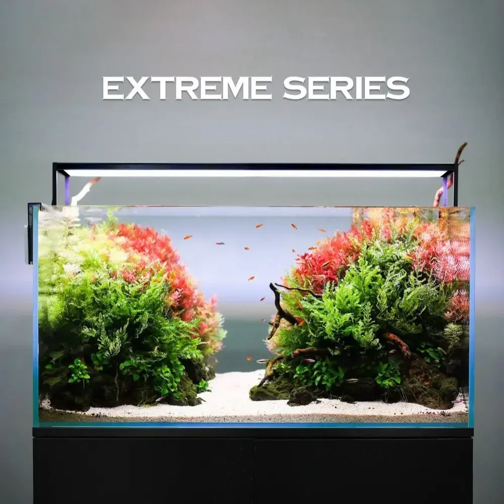 MICMOL Extreme Series II Smart – Plant Parent App Bewertung und Preis
