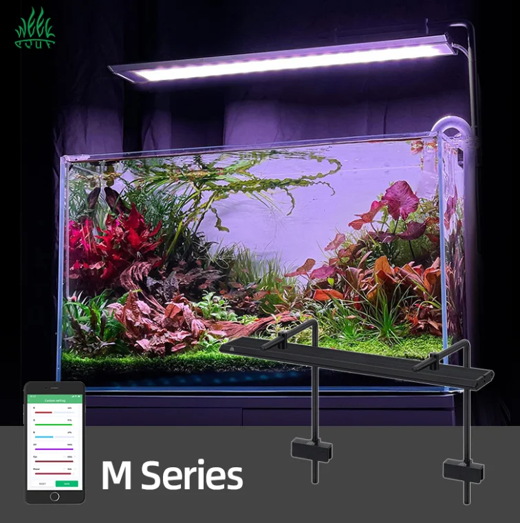 Week Aqua M Series RGB+UV Wate – Plant Parent App Bewertung und Preis
