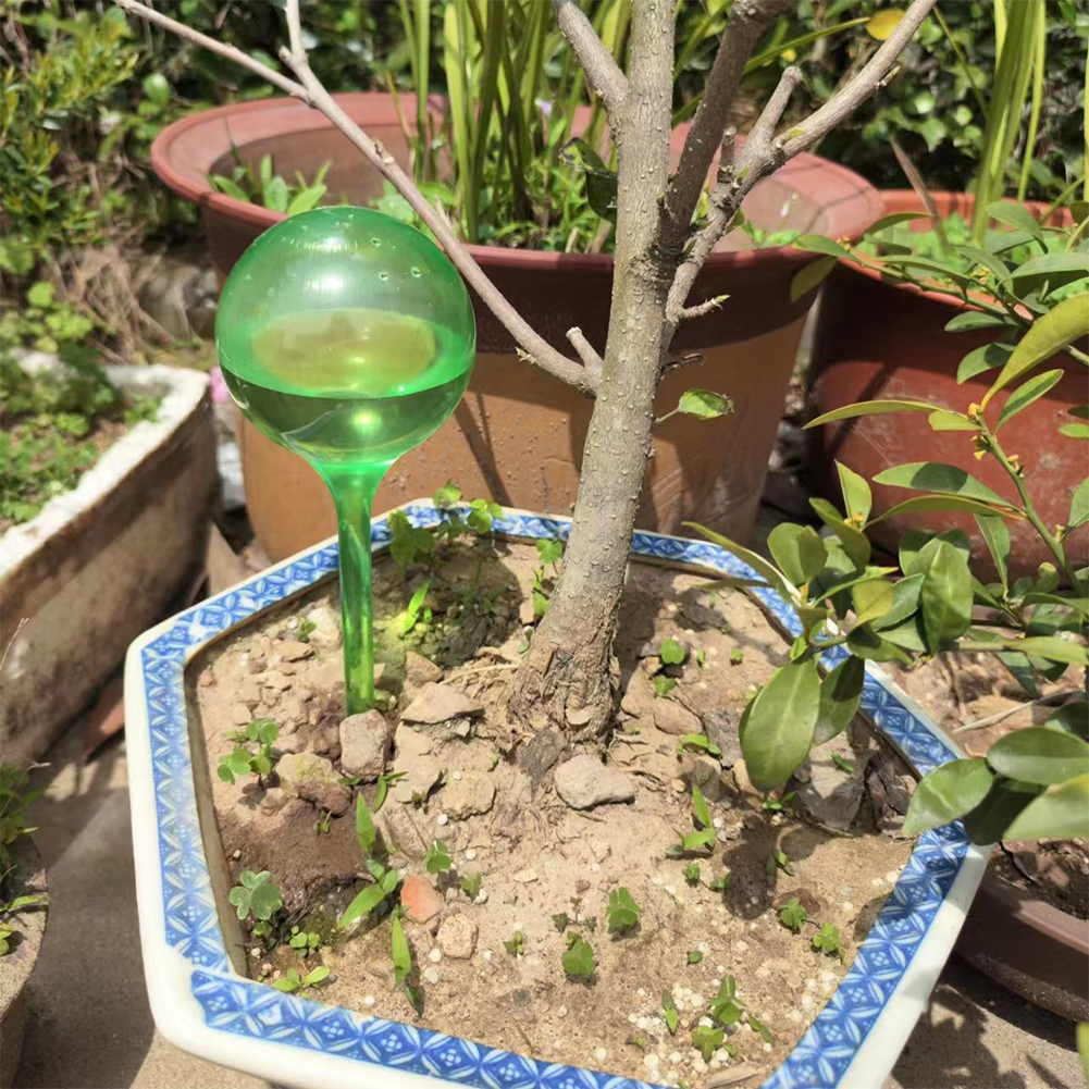 Automatic Plant Watering Bulbs – Plant Parent Kit Bewertung und Preis