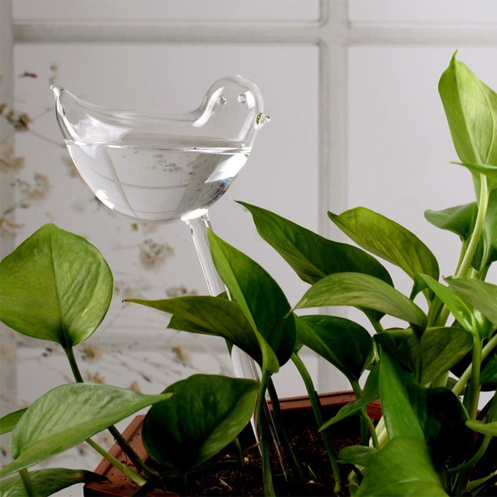 Automatic Plant Watering Bulbs – Plant Parent Kit Bewertung und Preis